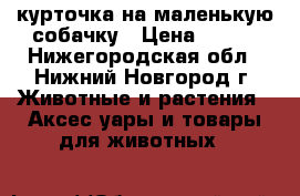 курточка на маленькую собачку › Цена ­ 500 - Нижегородская обл., Нижний Новгород г. Животные и растения » Аксесcуары и товары для животных   